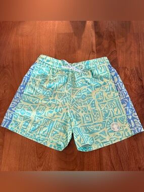 Chubbies Classic 5.5in Lined Swim Shorts Green Men's Size Small